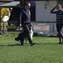 IMG 1293