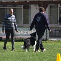 IMG 1294
