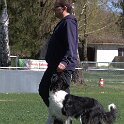 IMG 1297