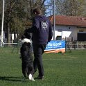 IMG 1307