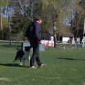IMG 1310