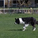 IMG 1314