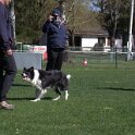 IMG 1324