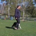 IMG 1329
