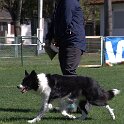 IMG 1332