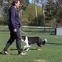 IMG 1333