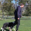 IMG 1336