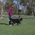 IMG 1374