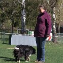 IMG 1378