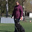 IMG 1380