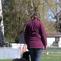 IMG 1381