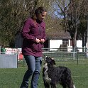 IMG 1387