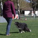 IMG 1388