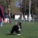 IMG 1389