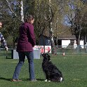 IMG 1390