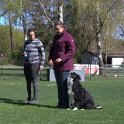 IMG 1391