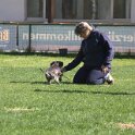 IMG 1416