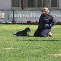 IMG 1417