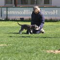 IMG 1418