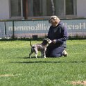 IMG 1419