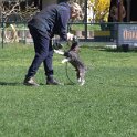 IMG 1425