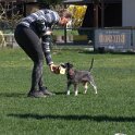 IMG 1435