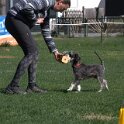 IMG 1440