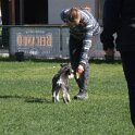 IMG 1446