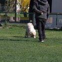 IMG 1456