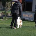 IMG 1458