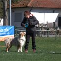 IMG 1464