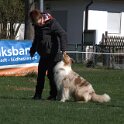 IMG 1466