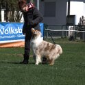 IMG 1467