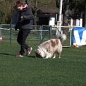 IMG 1470