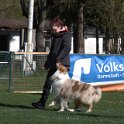 IMG 1471