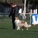 IMG 1472