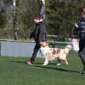 IMG 1475