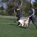 IMG 1476