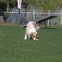 IMG 1479