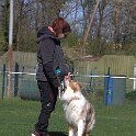 IMG 1481