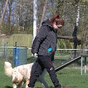 IMG 1482