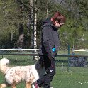IMG 1484