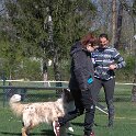IMG 1485