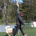 IMG 1487