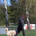 IMG 1488
