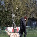 IMG 1489