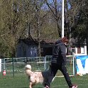 IMG 1490