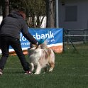 IMG 1491