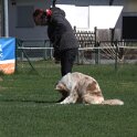 IMG 1504