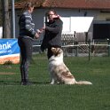 IMG 1506